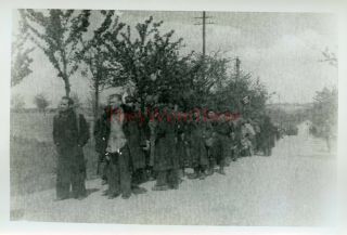 Wwii Photo - 6th Armored Division - Captured German Prisoners Of War Pows - 1