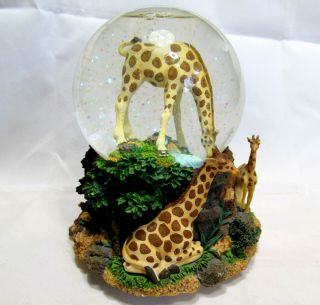 Giraffe Snow Globe Babys Room Glitter Snowdome Music Box Everything Is