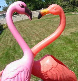 Vtg Don Featherstone Plastic Blow Mold Planter Pink Flamingo Outdoor Yard Decor