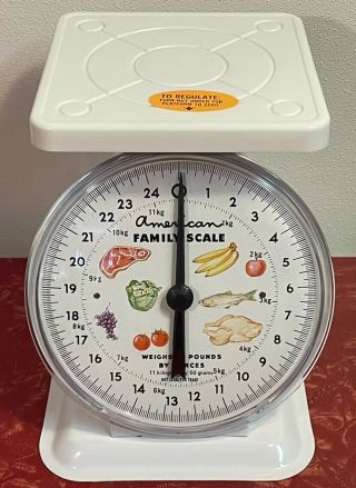 Vintage American Family Kitchen Food Scale White 25lb Farmhouse