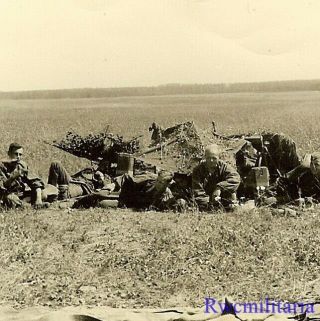 Rare German Elite Waffen Panzerjägers In Camo Smocks W/ Pak Gun In Field