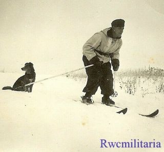 Best Wehrmacht Skijäger Soldier W/ Snow Camo & Dog In Russian Winter