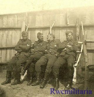 Rare Group Of German Elite Waffen Soldiers Posed Seated On Bench