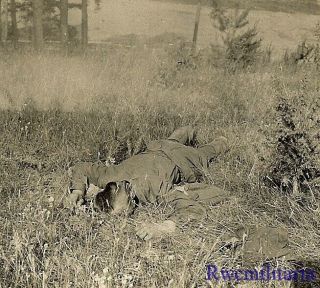 Somber German View Of Kia Russian Soldier Laying In Field; 1941
