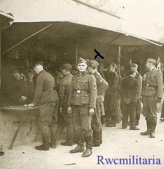 Rare Group Of German Elite Waffen Soldiers Shopping At Outdoor Market