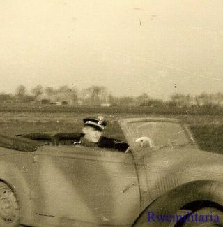 Rare German Elite Waffen Officer Passing In Camo Painted Staff Car