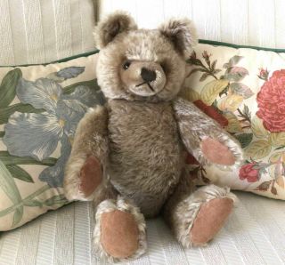 Adorable Steiff Teddy Bear With Growler 38pb