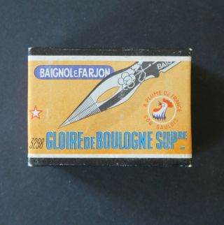 Boite Plume Baignol & Farjon Gloire De Boulogne 3298 Pen Nibs Box