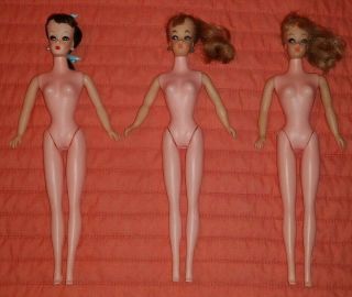 Rare Vintage 1960s Eegee Eg Goldberger Miss Babette Ponytail Barbie Clone Dolls