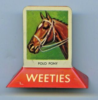 1957 Tin Plate Picture Weeties Aust Polo Pony Cereal Toy L331