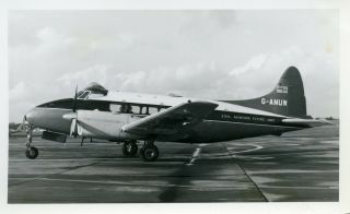 G - Anuw De Havilland Dove Caa Flying Unit Vintage B&w Photo