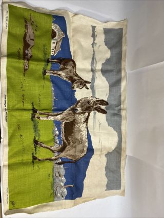 Vintage Pure Irish Linen Tea Towel Donkeys In Ireland 32.  5 " X 20.  5 " Mcm