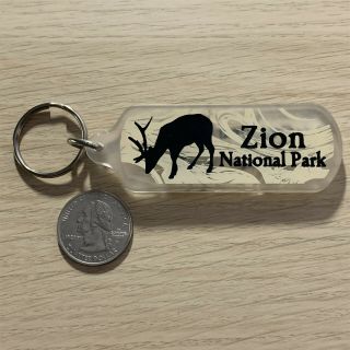 Zion National Park Utah Travel Souvenir Keychain Key Ring 39815