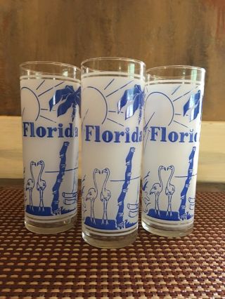 Vintage Florida Souvenir Frosted Glasses - Set Of 3