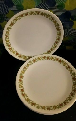 4 Vintage Spice Of Life Corning Corelle 8.  5 " Salad Lunch Plates Bright Pattern