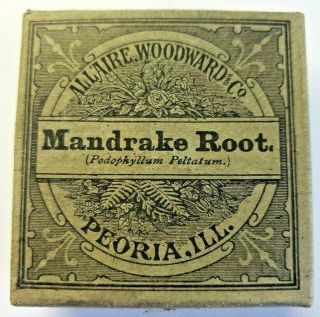 Antique Herbal Medicines Allaire Woodward & Co.  Mandrake Root Peoria,  Ill 39