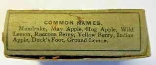 Antique Herbal Medicines Allaire Woodward & Co.  Mandrake Root Peoria,  ILL 39 3