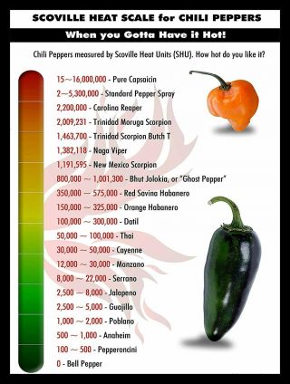Scoville Heat Scale For Chili Peppers Cooking Restaurant Tin Metal Sign 8 X 12