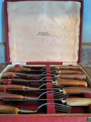 Rare Vintage Real Stag Horn Flatware By Lewis,  Rose,  And Co With Case