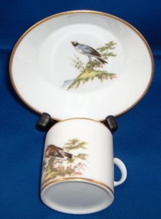 Antique 19thc Paris Porcelain Bird Scene Cup & Saucer Porcelaine Tasse Vieux De
