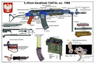Color Poster Poland Polish Tantal Rifle Kalashnikov 5.  45x39 Lqqk Usa Seller