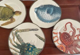 Pottery Barn Sea Life Critters Salad Sized Melamine Plates And Large Platter