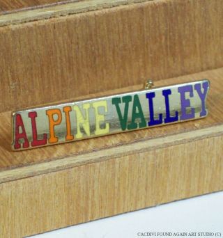 Vintage Alpine Valley Ski Area Resort Chesterland Ohio Pin Skiing Oh Souvenir