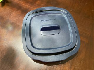 Tupperware Micropro Grill,  Pro Ring - Toast Roast Stew Bake & Grill In Microwave