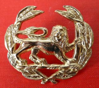 Rhodesia Army Sergeant Major Warrant Officer Wo2 Anodised Africa Rank Badge