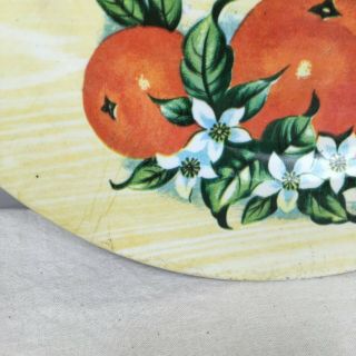 Vintage Florida Plate Souvenir Oranges Plastic Wall Decor Kitchen Retro Tropical 2