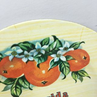 Vintage Florida Plate Souvenir Oranges Plastic Wall Decor Kitchen Retro Tropical 3
