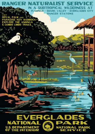 The Everglades National Park Florida Usa Travel Advertising Poster.  Egret