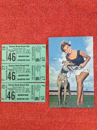 Postcard And Tickets For Daytona Beach Kennel Club