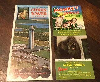 1960’s Citrus Tower,  Weeki Wachee & Monkey Jungle Florida Brochures