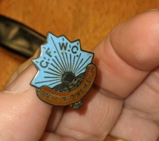 1900s Gfwc Unity In Diversity Enamel Pin General Federation Of Womens Clubs