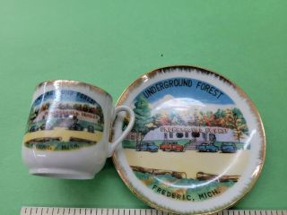 Vintage Underground Forest Frederic Michigan State Souvenir Cup And Saucer