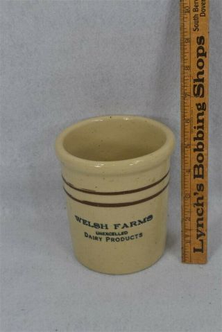 Old Stoneware Yelloware Crock Beater Jar Brown Band Welsh 5 In.  19th C