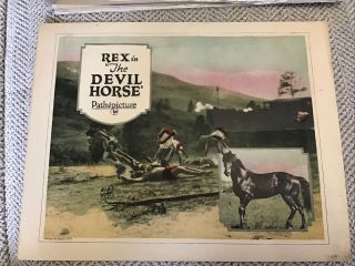 Vintage Movie Orig Poster Lobby Card 11x14 Rex In The Devil Horse 1926 Indian