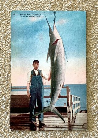 Postmarked 1920 Santa Catalina Island Postcard: Fisherman And Sword Fish
