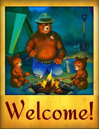 Smokey Bear Welcome Campfire Sign U.  S.  Forest Service Cabin Rustic Vintage