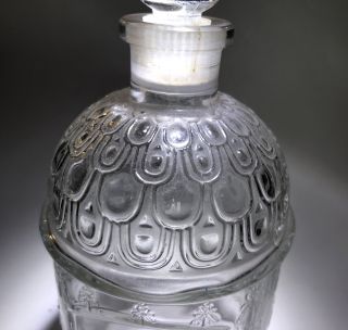 Guerlain Empty Glass Perfume Bottle 7.  5” tall W stopper Paris France Bee Pattern 3