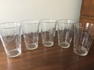 Rare Vintage Clear Glass Etched Animal Glasses - Bison,  Deer,  Bear,  Cat 8 Oz.