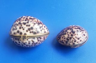 Vintage Clam Shell Brass Hinge Trinket Jewelry Box