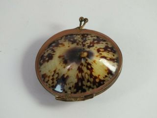 Vintage Antique Real Sea Shell Hinged Coin Purse / Pill Box - Metal Surround