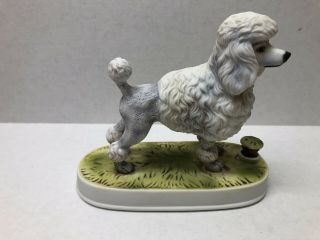 1975 French Poodle Lionstone Whiskey Decanter Kentucky Porcelain Dog Series 6 