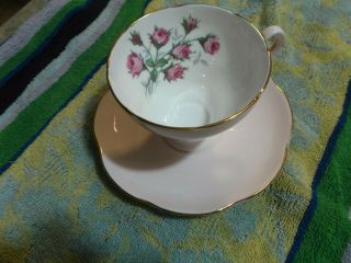 Eb Foley Soft Pink Or Lavender Bone China Tea Cup & Saucer England Teacup 1850