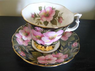 Royal Albert Flora Series Alberta Rose Tea Cup And Saucer
