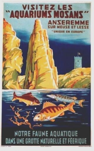 Vintage Poster Aquariums Mosans Fish Grottes C.  1940