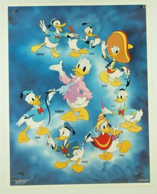 Vintage 1986 Disney History Of Donald Duck 1934 - 1986 Character Poster 22x28 "