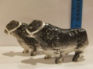 Vintage Black Angus Cows Salt And Pepper Shakers.  Japan Ceramic Farm Animals.